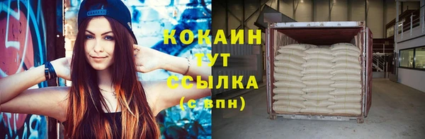 индика Белокуриха