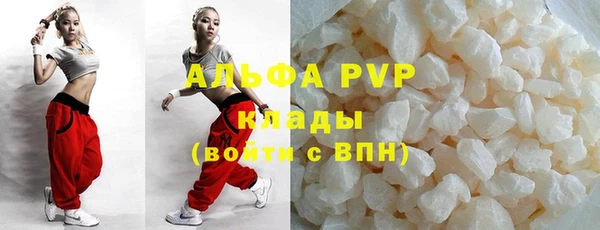 индика Белокуриха