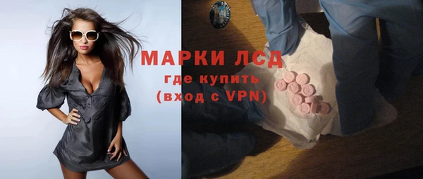 индика Белокуриха