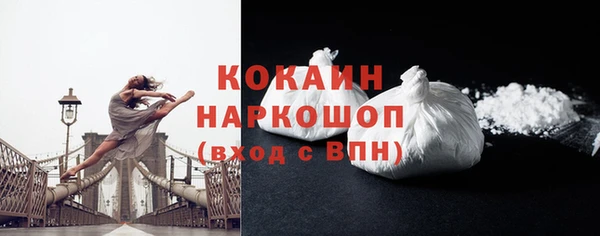 индика Белокуриха