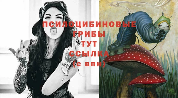 индика Белокуриха