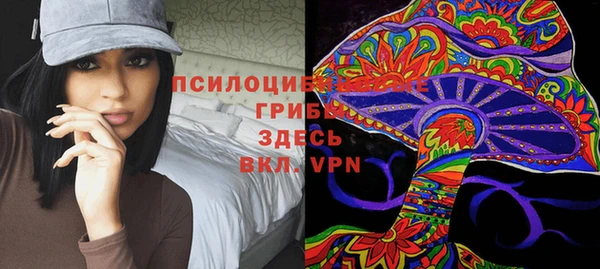 индика Белокуриха