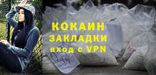 индика Белокуриха