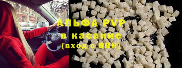индика Белокуриха