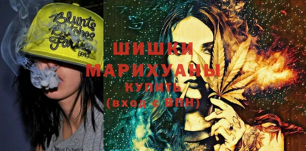 индика Белокуриха