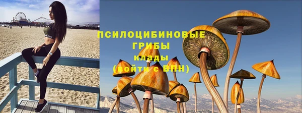прущая мука Белоозёрский