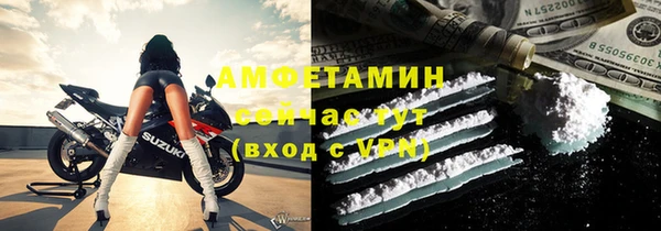 индика Белокуриха