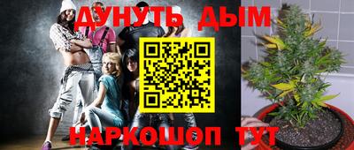 прущие крисы Ипатово