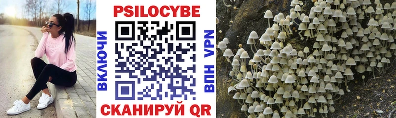 Псилоцибиновые грибы Magic Shrooms  наркотики  Славгород 