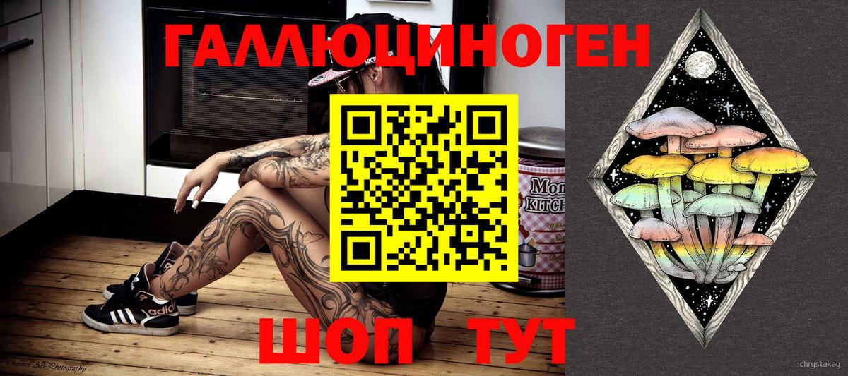 где можно купить   Галлюциногенные грибы Psilocybine cubensis  Вход с VPN  Славгород  Псилоцибиновые грибы GOLDEN TEACHER 